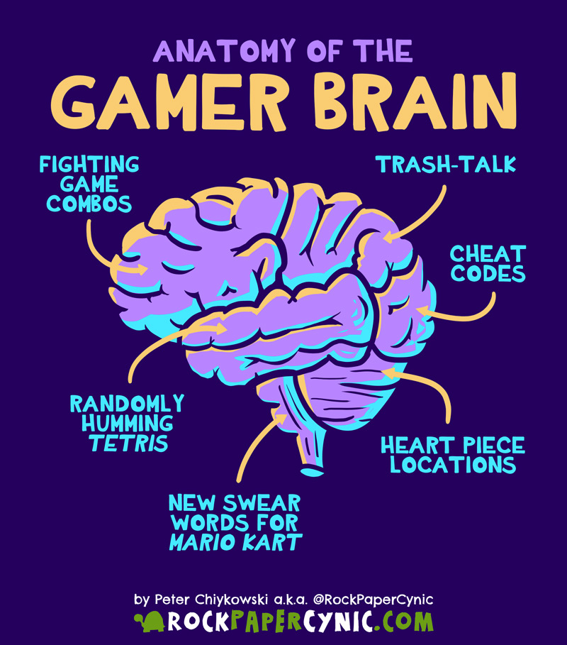 we explore the anatomical parts of the gamer's brain and what they're responsible for