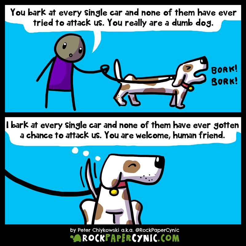 we take a look at how humans and dogs think differently about what it means to bark at a car